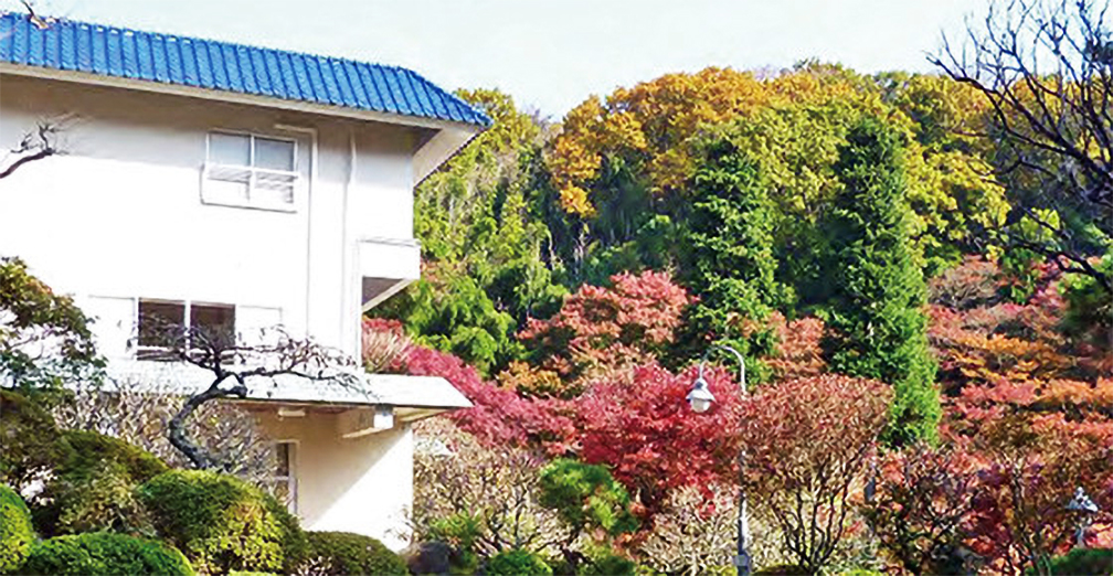 画像：市村清新技術財団 植物研究園（旧市村別荘）